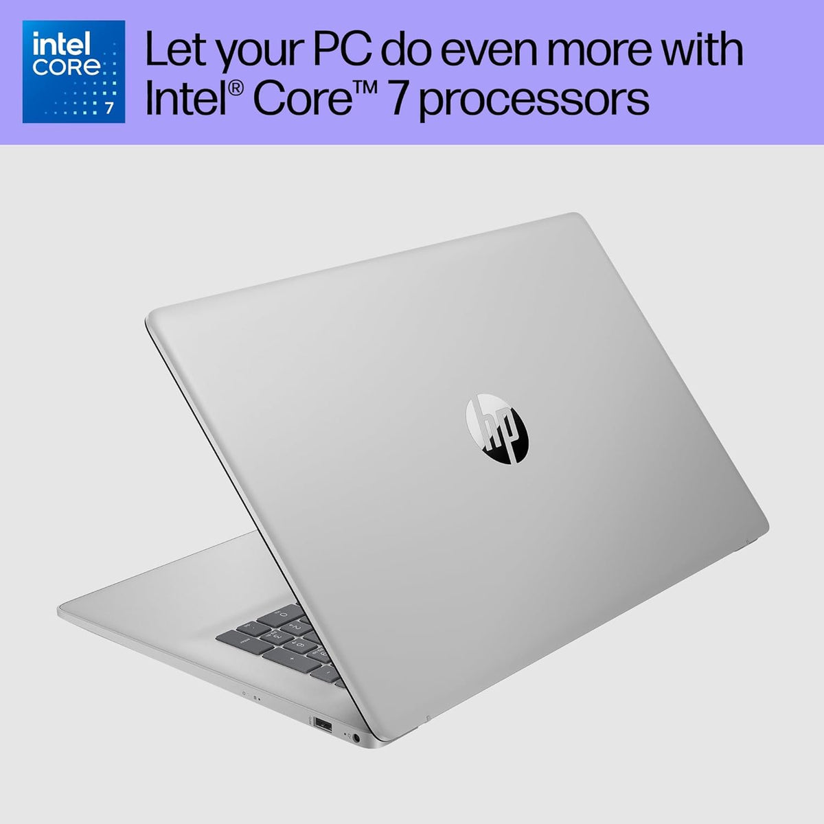 17.3" HD+ Touchscreen Laptop W29195