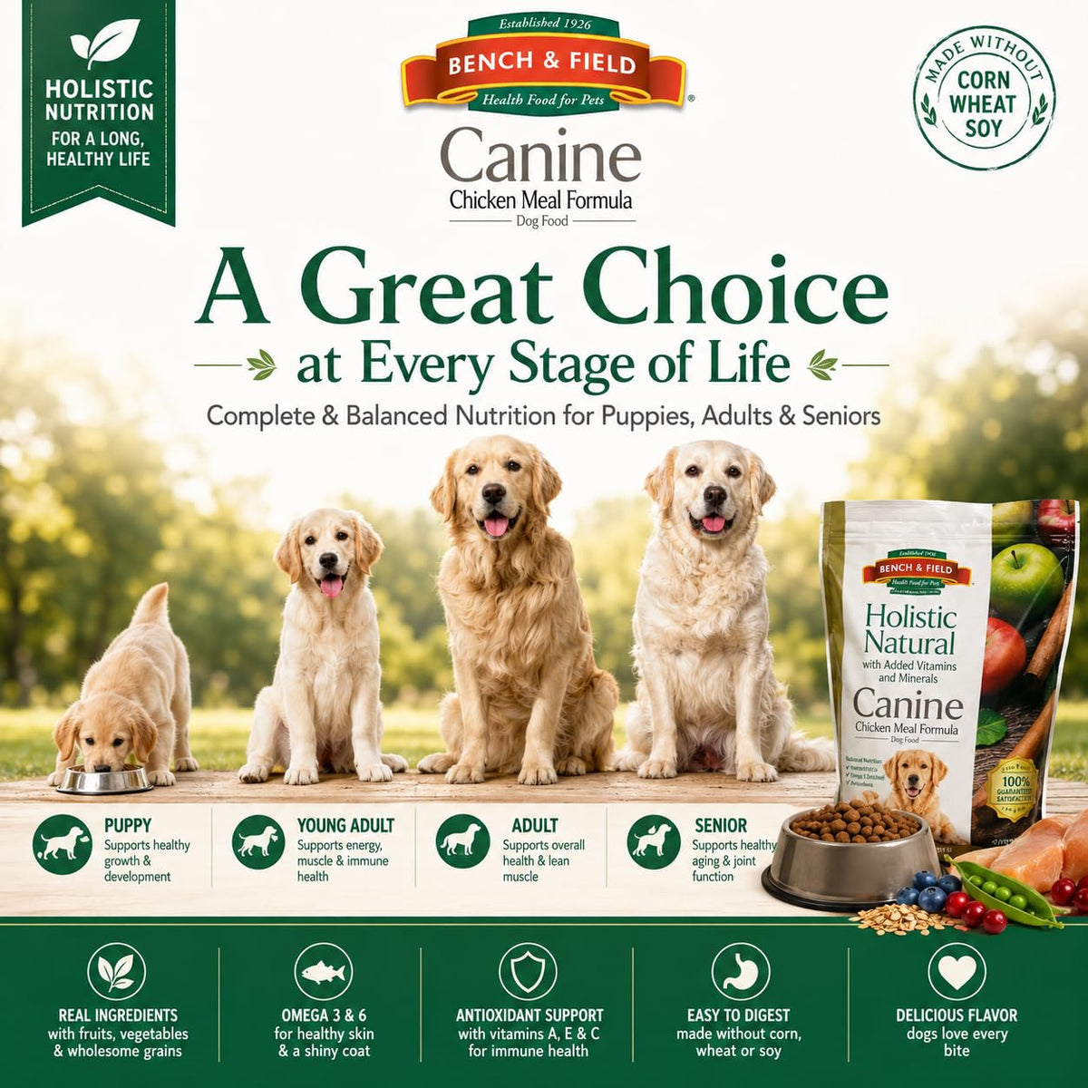 Chicken Meal & Brown Rice Dry Dog Food 6.6 lb F195
