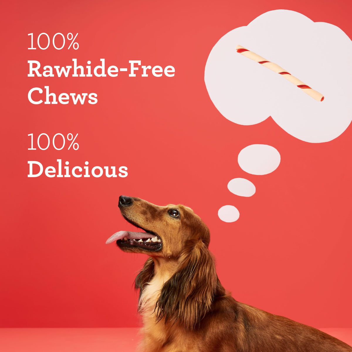 Rawhide-Free Dog Treats With Real Protein, 50 Count E284837