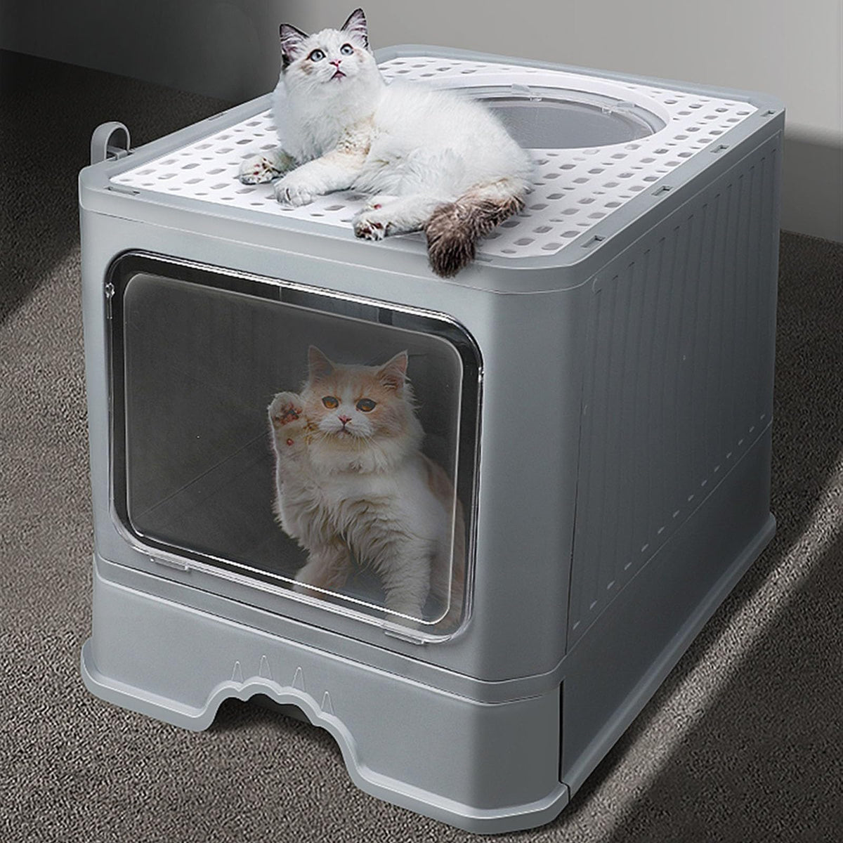 Foldable Enclosed Cat Litter Box with Lid U461