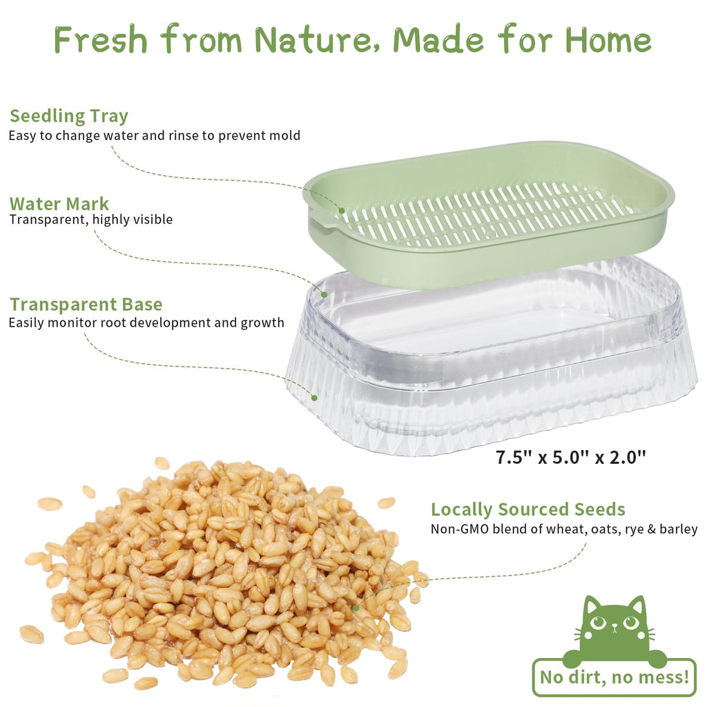 Cat Grass Growing Kit with 5 Pack Non GMO Seeds R45281