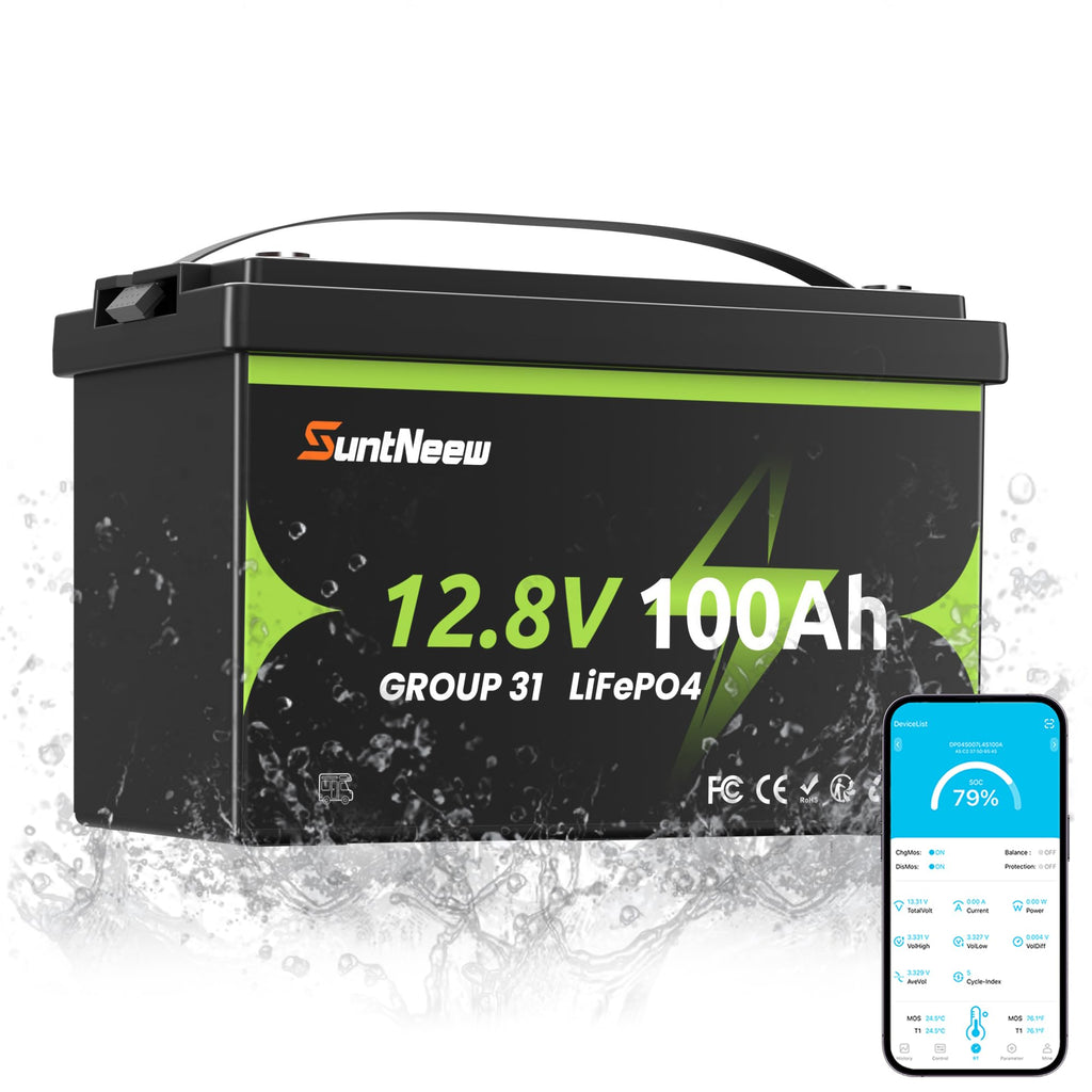 12V 100Ah LiFePO4 Battery Group 31 K16376
