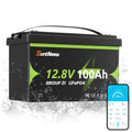 12V 100Ah LiFePO4 Battery Group 31 K16376