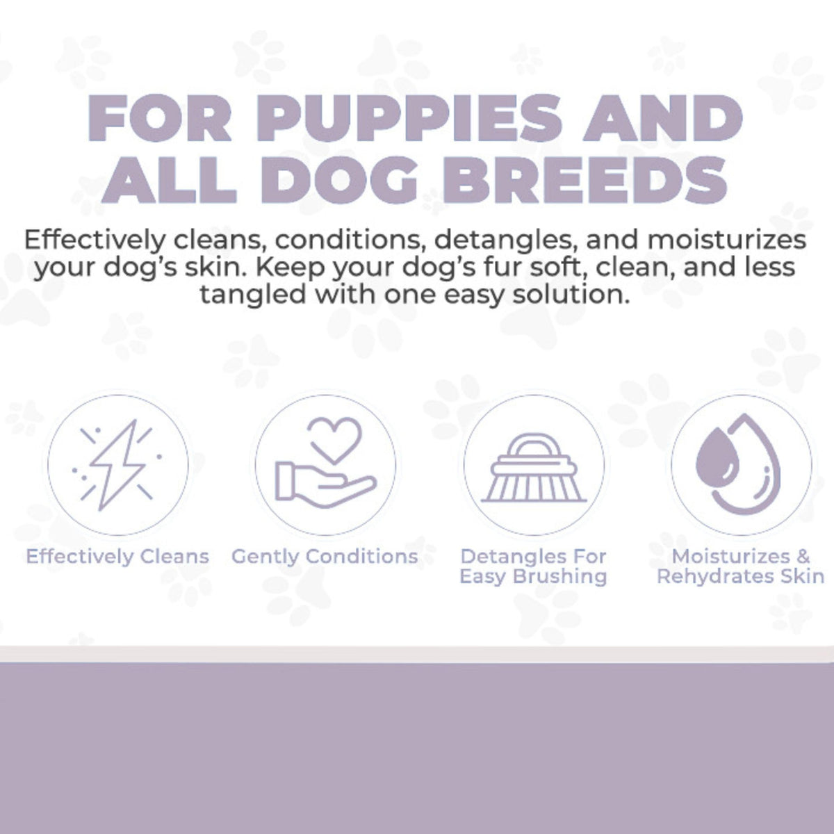 4-in-1 Dog Shampoo, Conditioner & Detangler, Lavender, 16 oz A195192