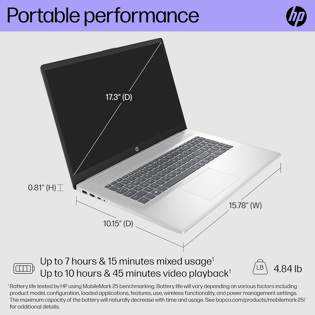 17.3" HD+ Touchscreen Laptop W29195
