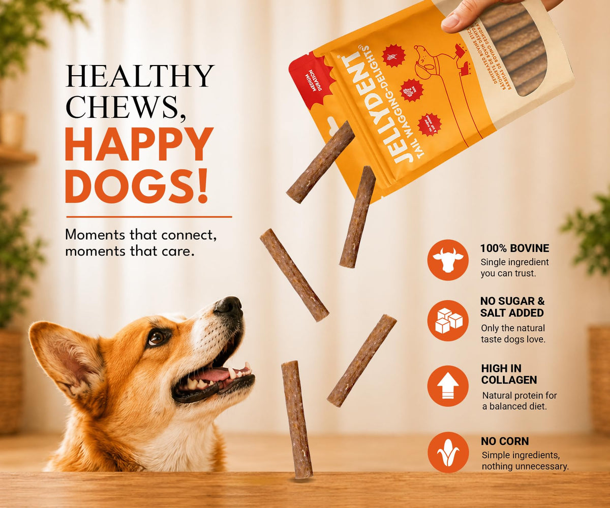 Single Ingredient Beef Collagen Dog Dental Chews 10 Count H974538