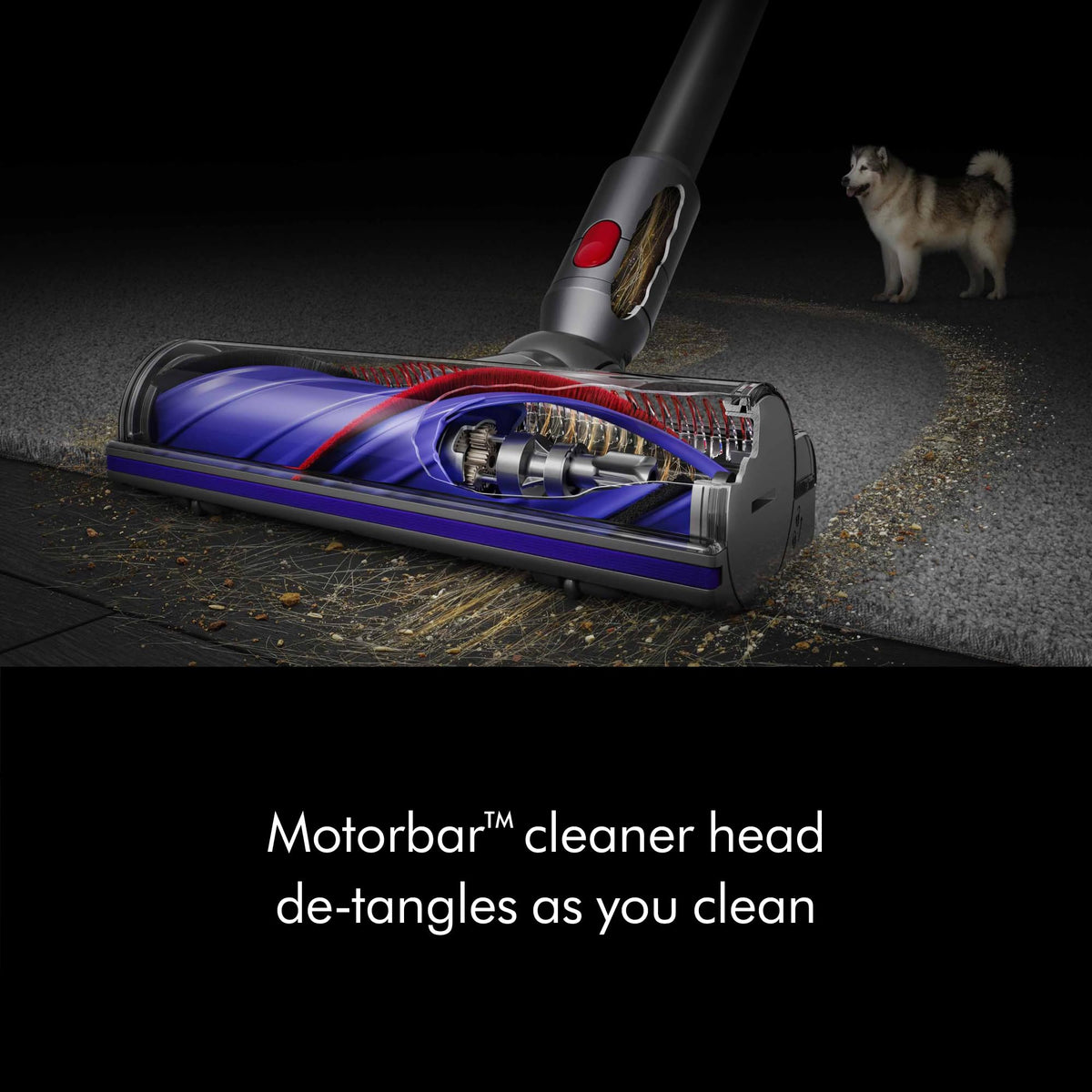Cordless Vacuum, 115AW, 2 Power Modes W785452