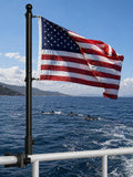 2.5FT Stainless Steel Boat Flag Pole Kit S71207