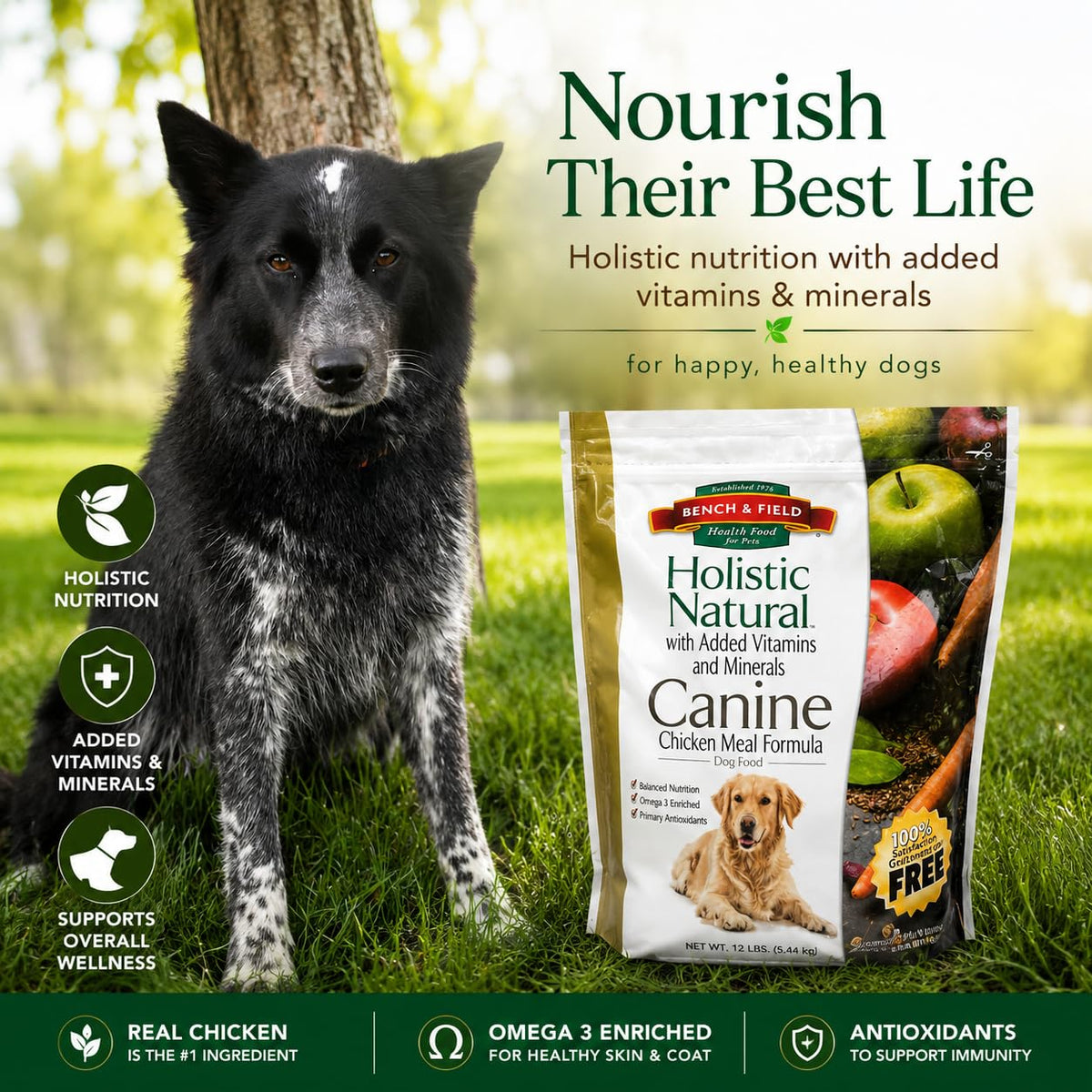 Chicken Meal & Brown Rice Dry Dog Food 6.6 lb F195