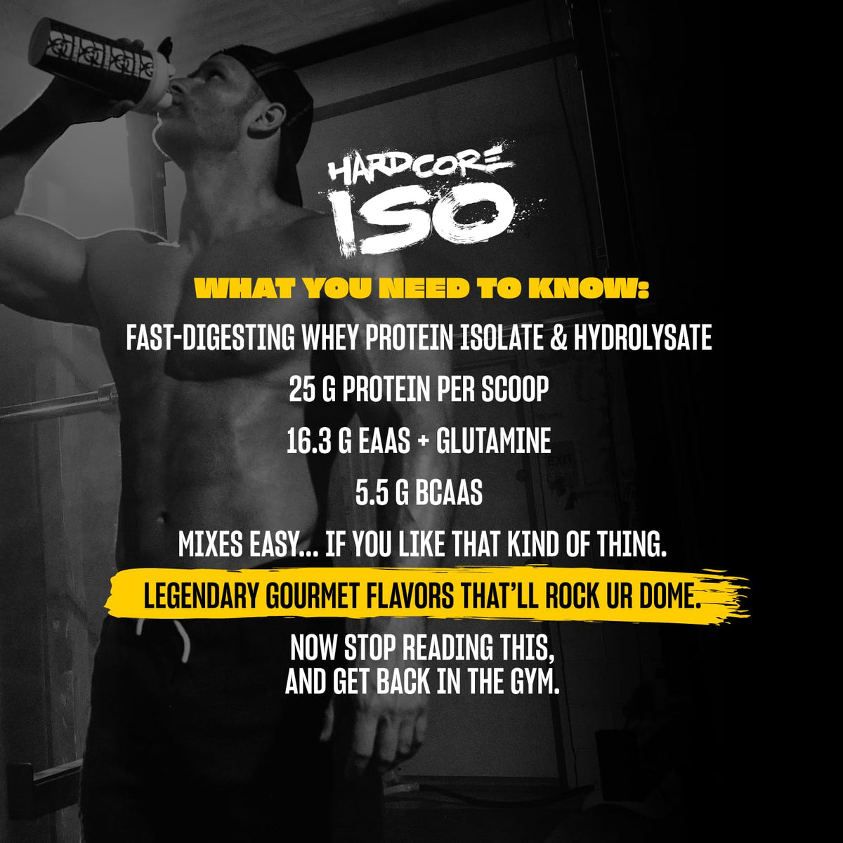 Whey Protein Isolate Triple Chocolate 5 lb P5045