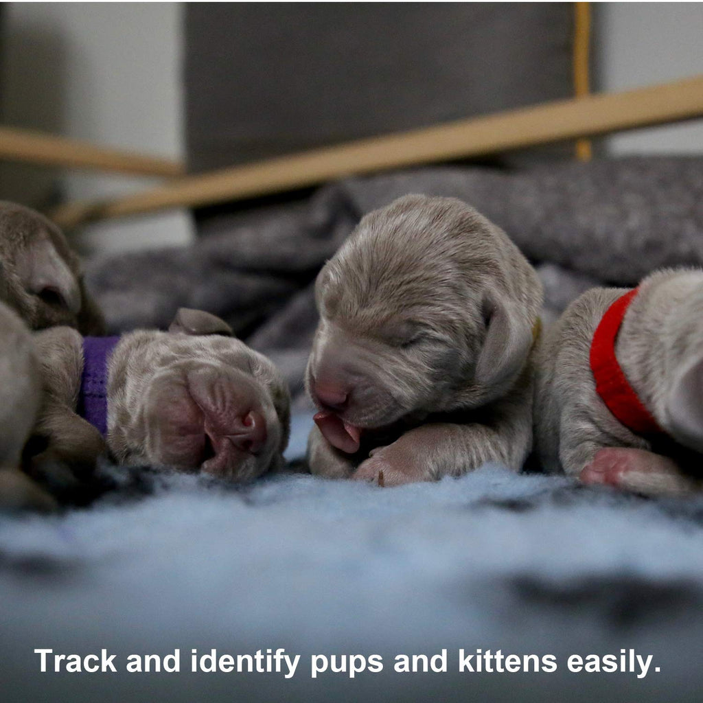 Soft Adjustable Puppy Collars D726655
