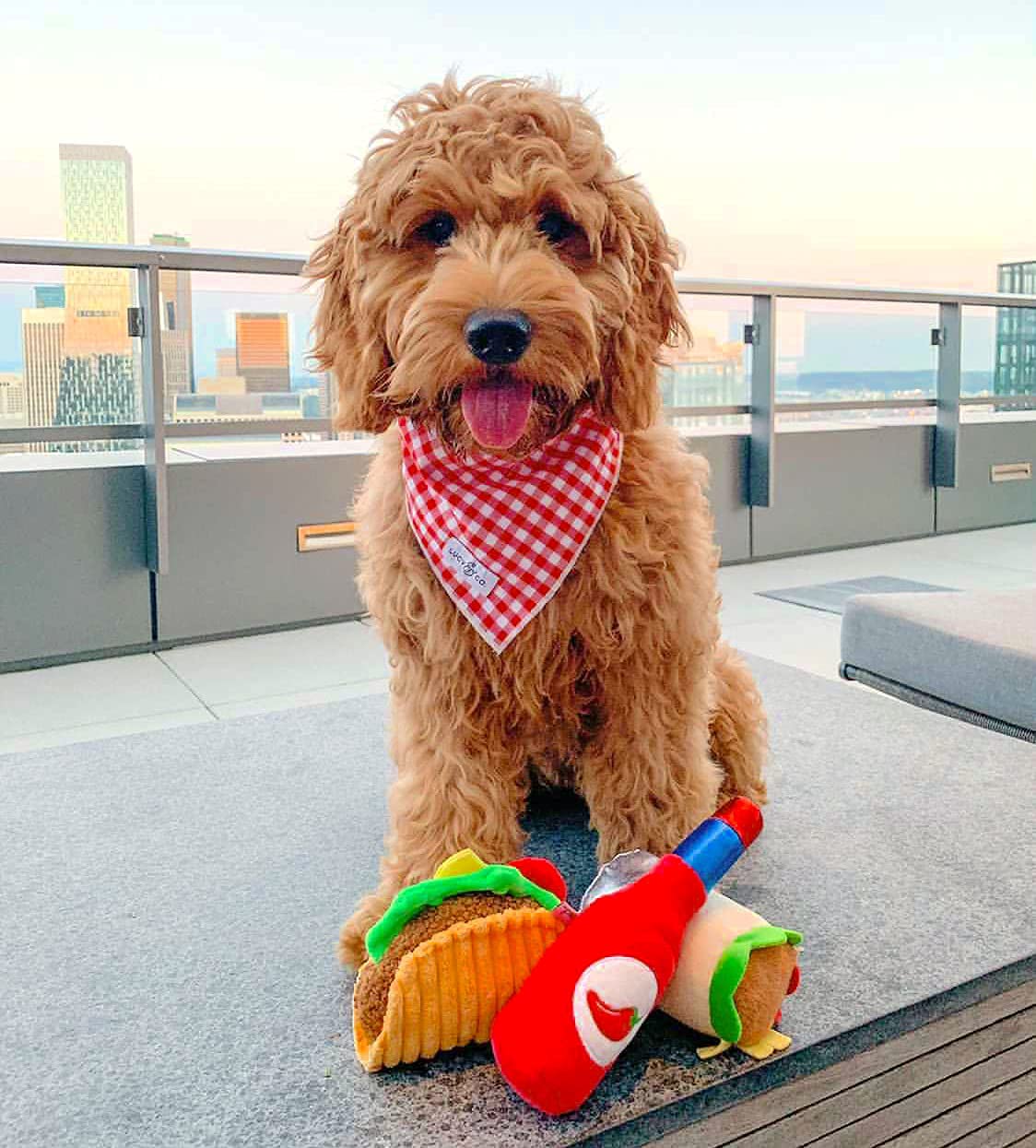 Plush Dog Toys E197