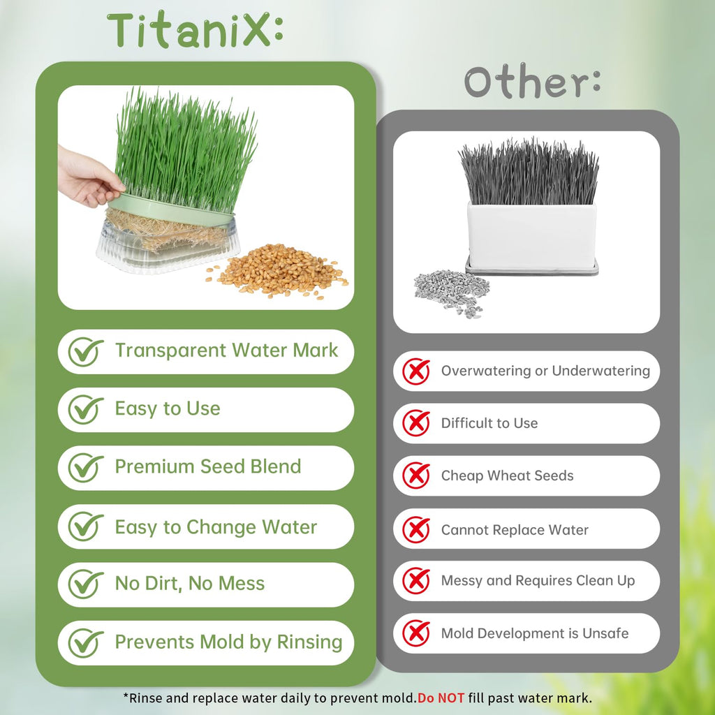 Cat Grass Growing Kit with 5 Pack Non GMO Seeds R45281