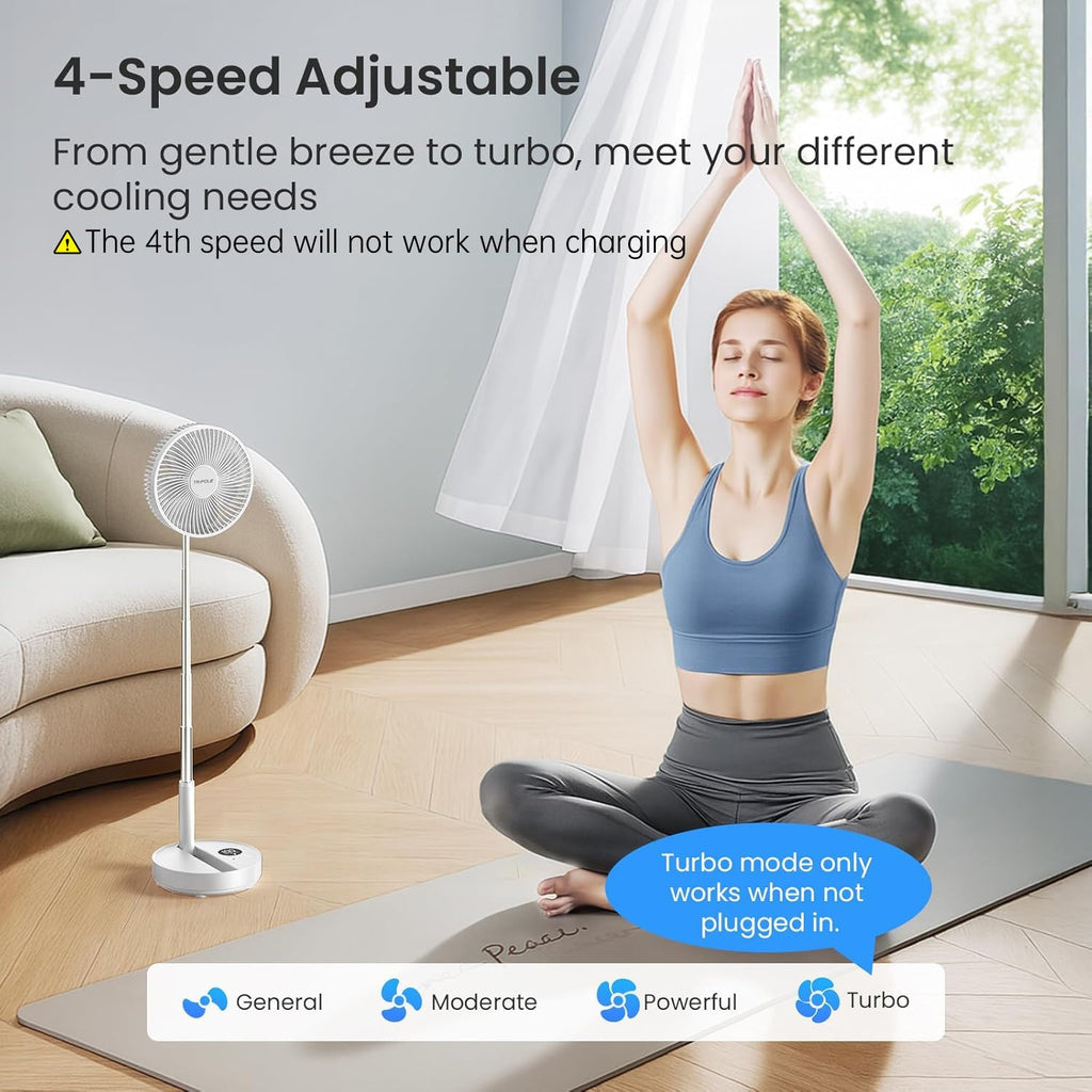 Portable Rechargeable Oscillating Standing Fan Y8070
