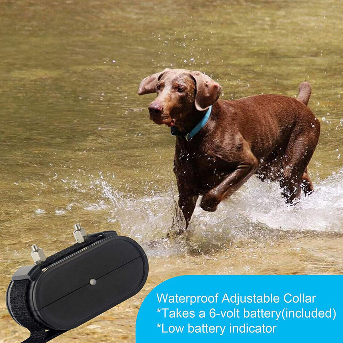 Electric In-ground Dog Fence with Waterproof Collar W6287