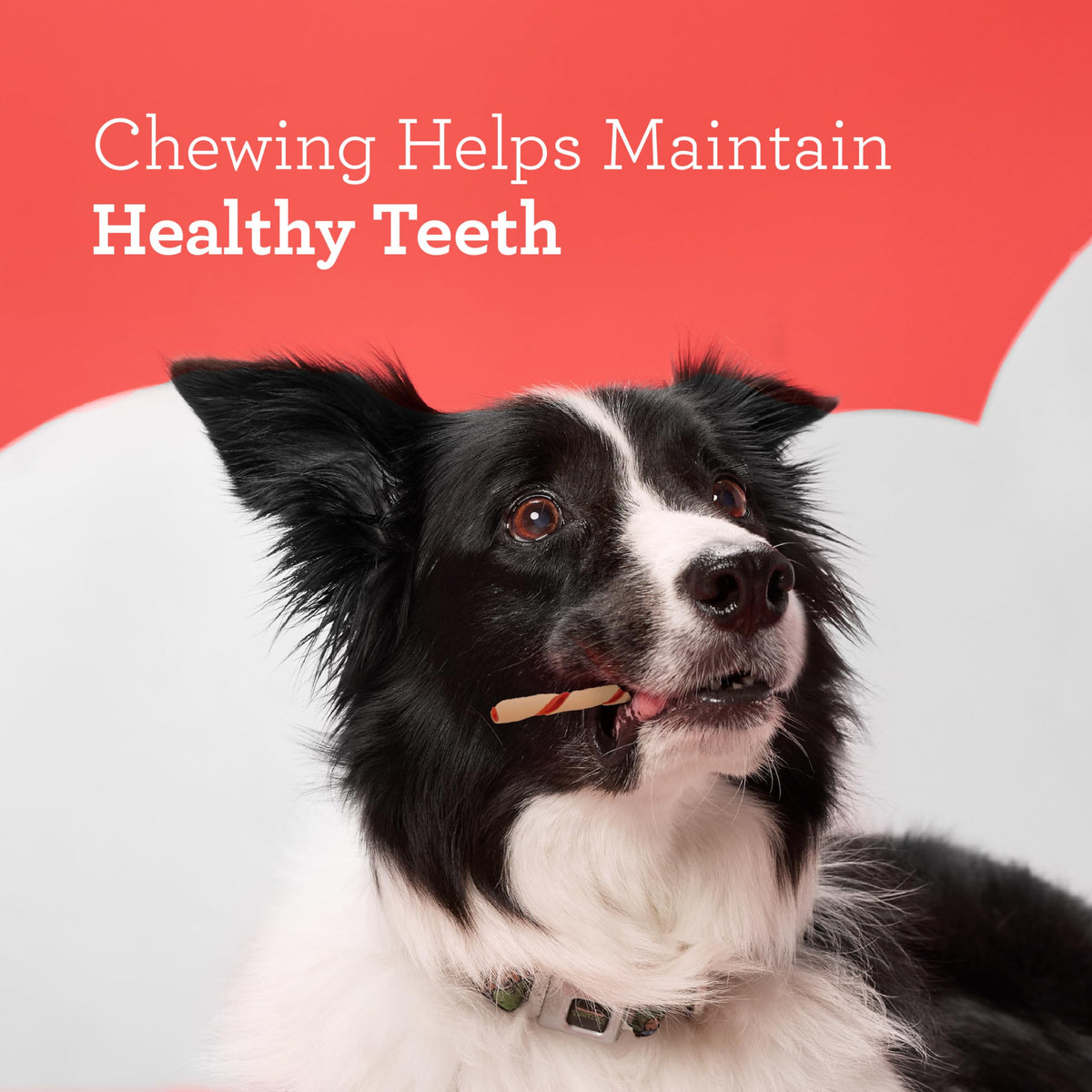 Rawhide-Free Dog Treats With Real Protein, 50 Count E284837