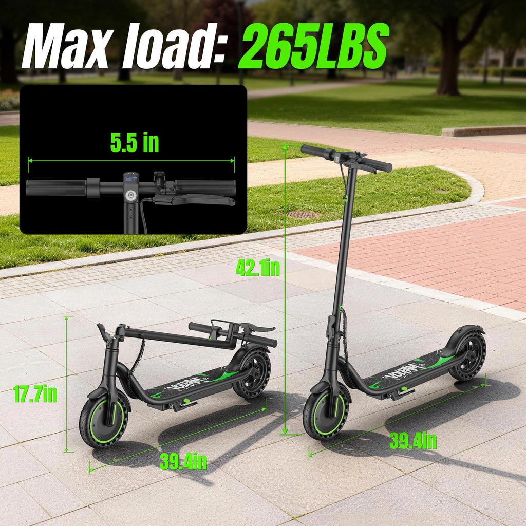 Electric Scooter W41230