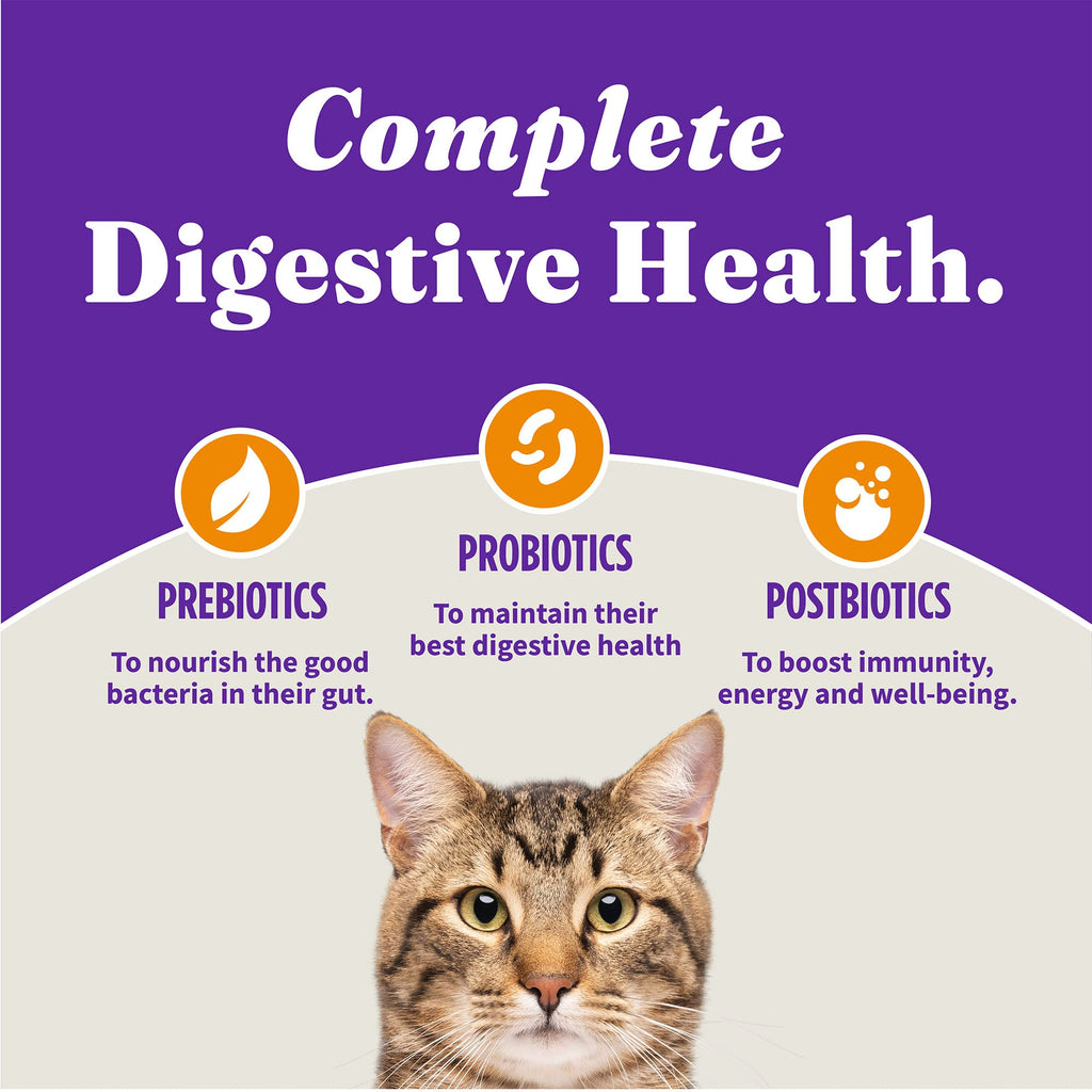 Indoor Dry Cat Food Cage-Free Chicken 6 lb F384564