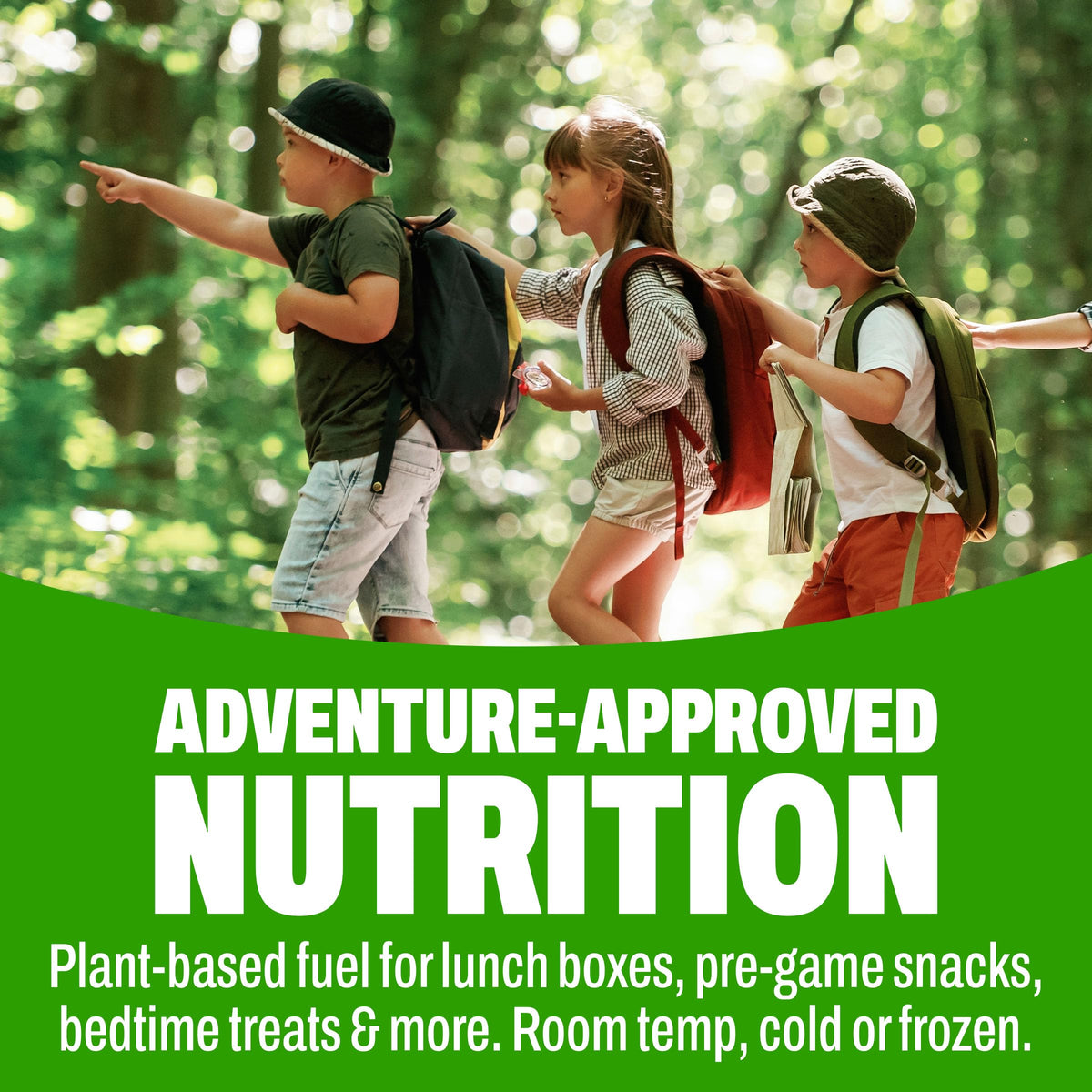 Organic Vegan Kids Protein Shakes Chocolate 8 Fl Oz 12 Pack N969