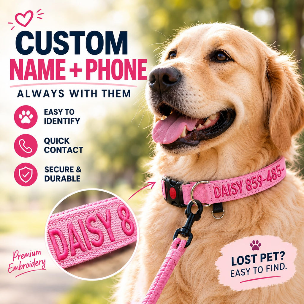 Custom Embroidered Dog Collar with Name and Number R858