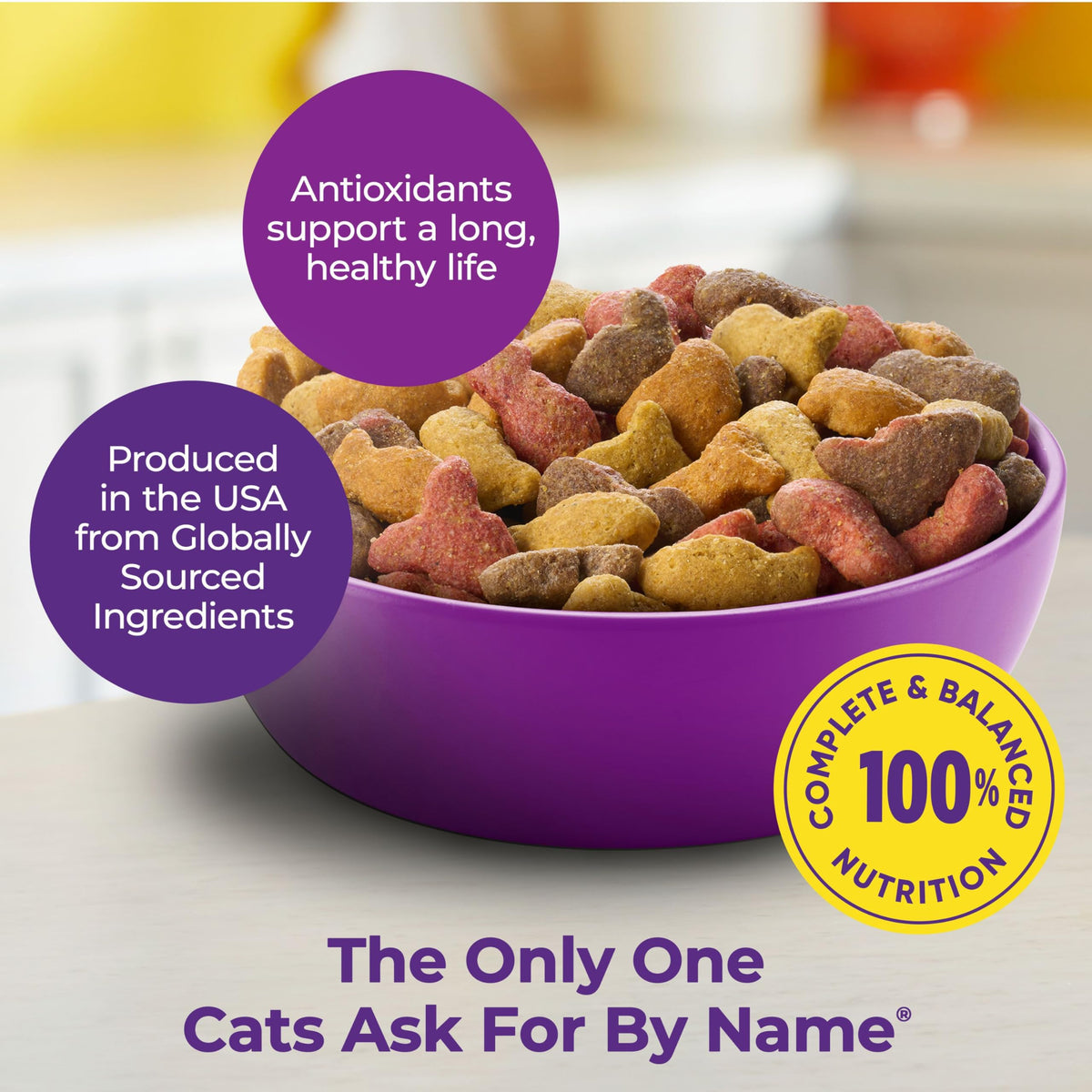 Dry Cat Food and Wet Cat Food Variety Pack T4196