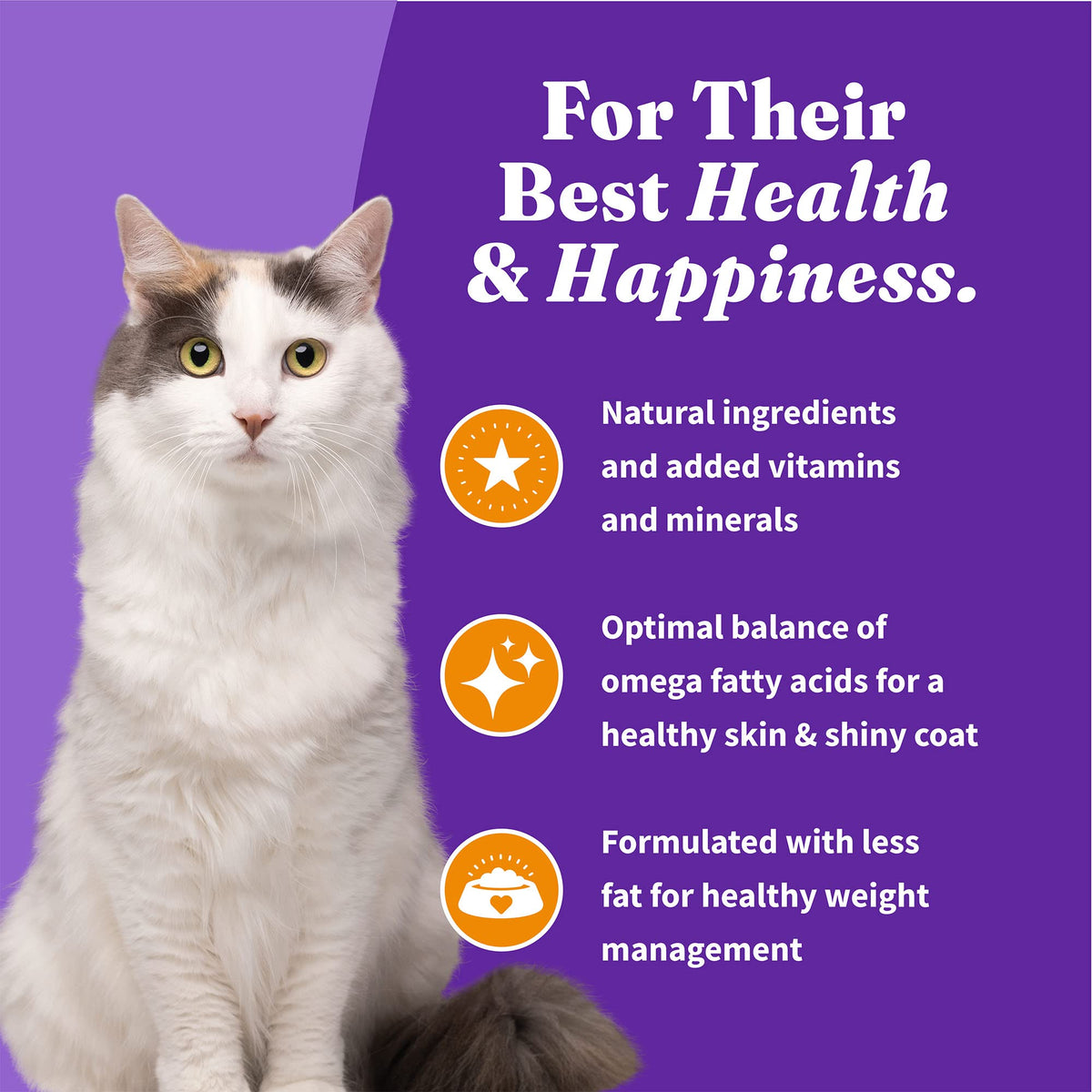 Indoor Dry Cat Food Cage-Free Chicken 6 lb F384564