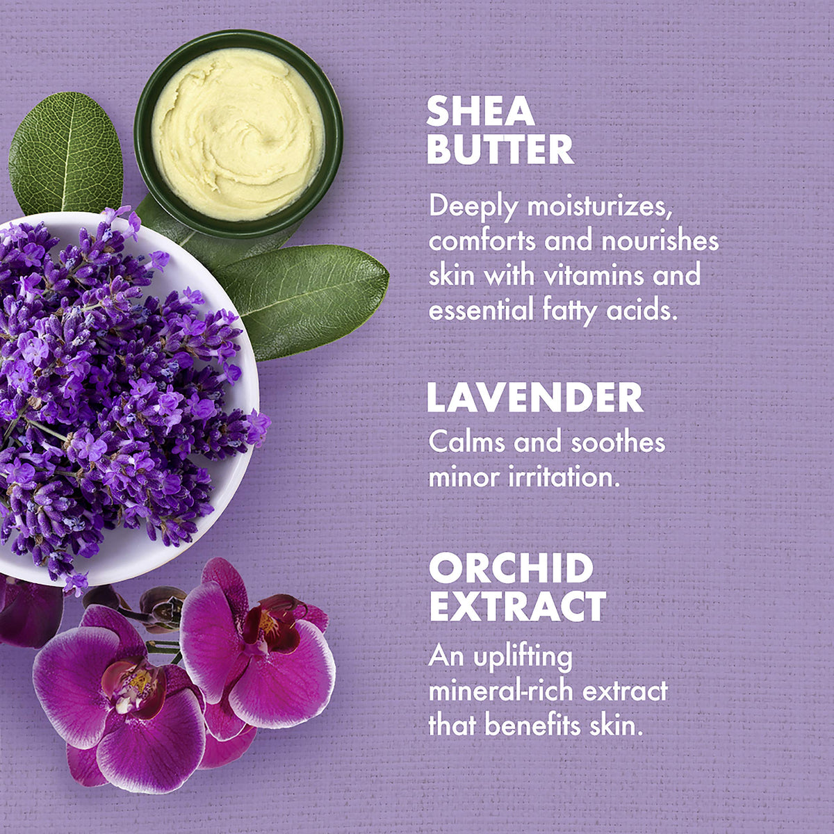 Lavender Wild Orchid Calming Bath Body Massage Oil 8 oz E168675