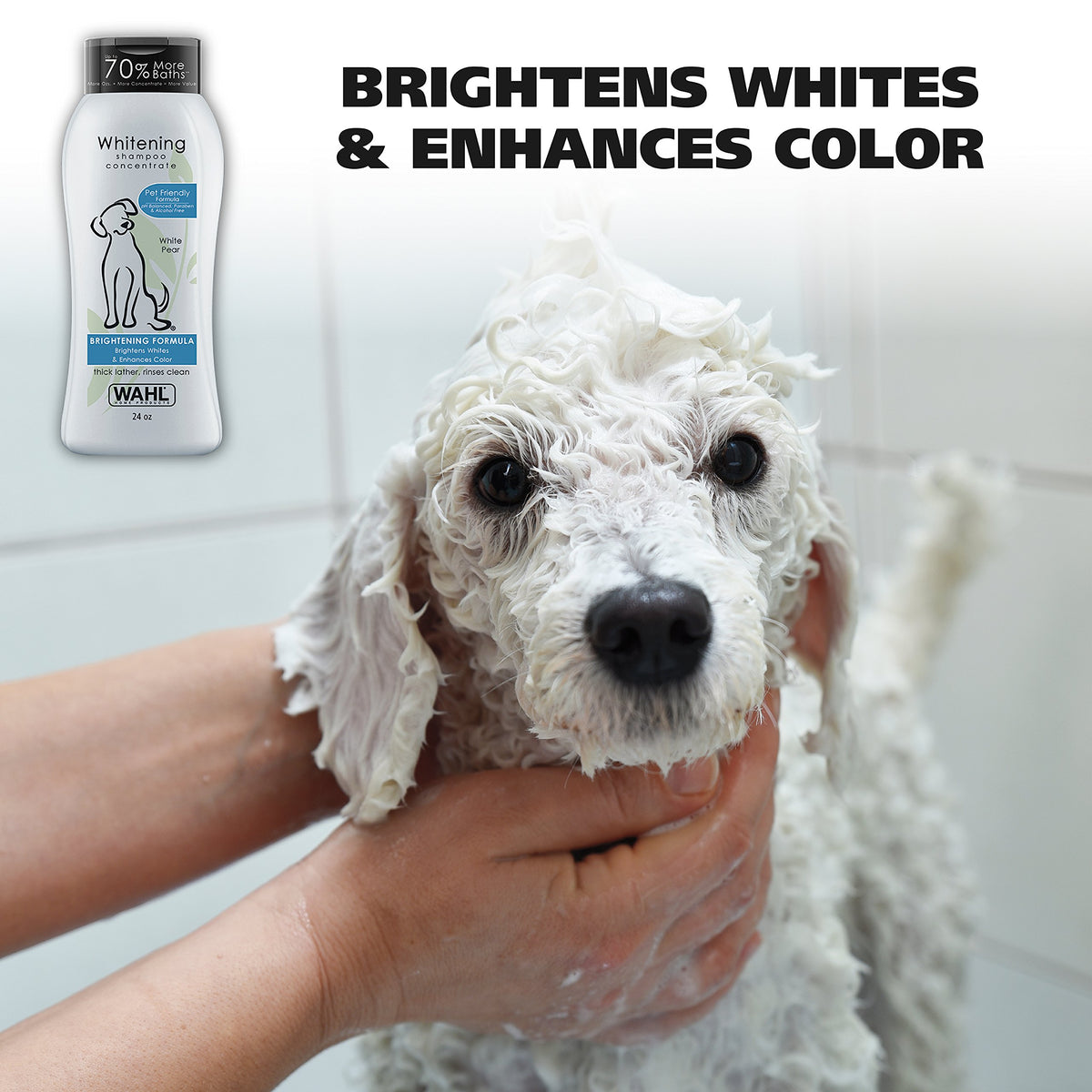 White Pear Dog Shampoo 24 oz Z23600