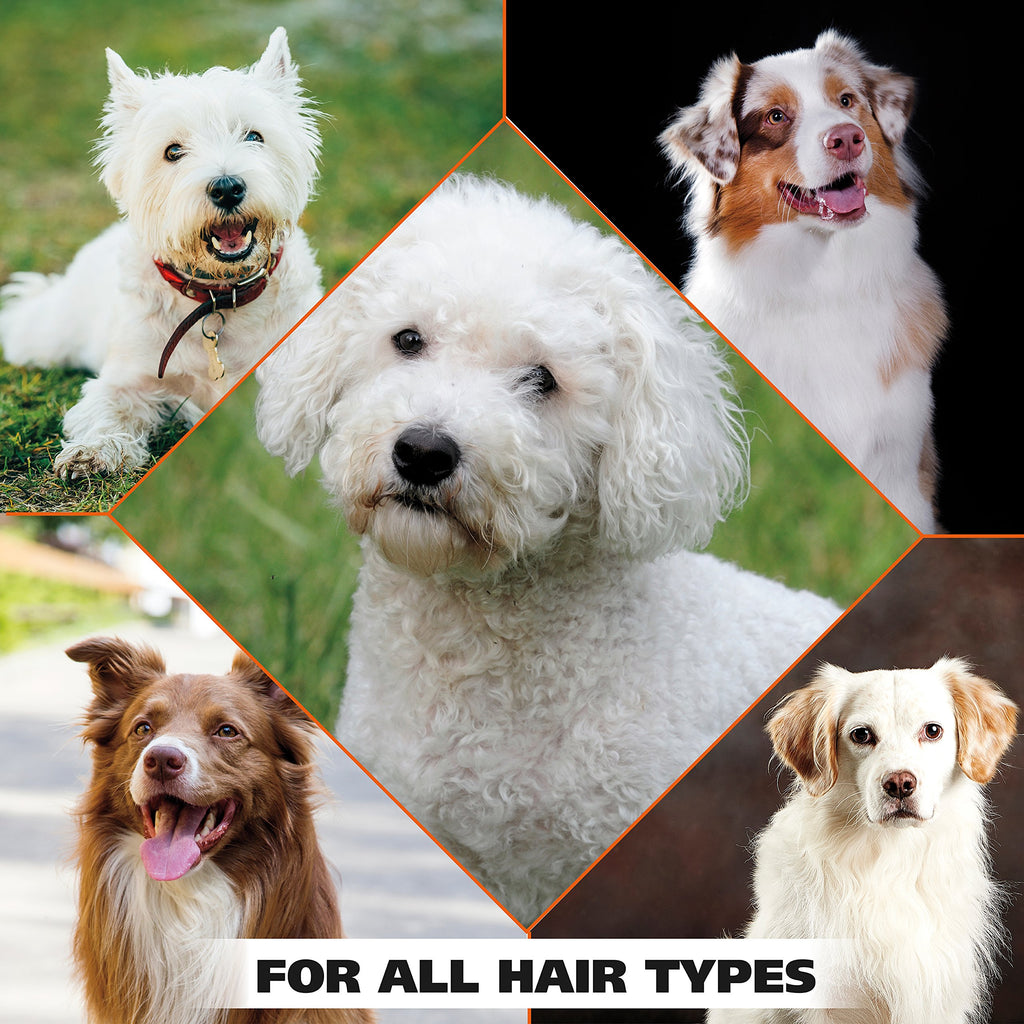 White Pear Dog Shampoo 24 oz Z23600